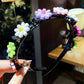 🌺Compra 1 y Lleva 2🌺Pinza para Cabello Infantil con Trenzas