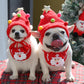 🎅🎁Adorable Gorro de Pom-Pom en Forma de Árbol de Navidad Para Mascota