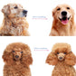 Herramienta profesional para desenredar para perros y gatos