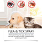 ⏰🔥 ¡50% DE DESCUENTO POR TIEMPO LIMITADO! 🐶🐱 Spray Natural Antipulgas y Garrapatas – Protege a tus Mascotas de Forma Segura y Efectiva 🌿✨