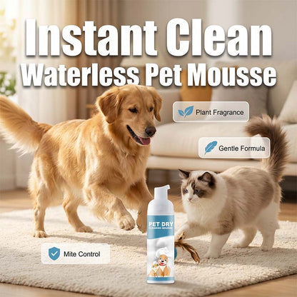 Shampoo en Espuma para Baño en Seco para Perros y Gatos