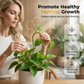 🌿 OFERTA POR TIEMPO LIMITADO: 50% DE DESCUENTO ✨ Enrejado para Plantas en Forma de Panal – Antióxido, Apilable, Fácil Instalación 🐝