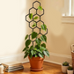 🌿 OFERTA POR TIEMPO LIMITADO: 50% DE DESCUENTO ✨ Enrejado para Plantas en Forma de Panal – Antióxido, Apilable, Fácil Instalación 🐝