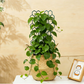 🌿 OFERTA POR TIEMPO LIMITADO: 50% DE DESCUENTO ✨ Enrejado para Plantas en Forma de Panal – Antióxido, Apilable, Fácil Instalación 🐝
